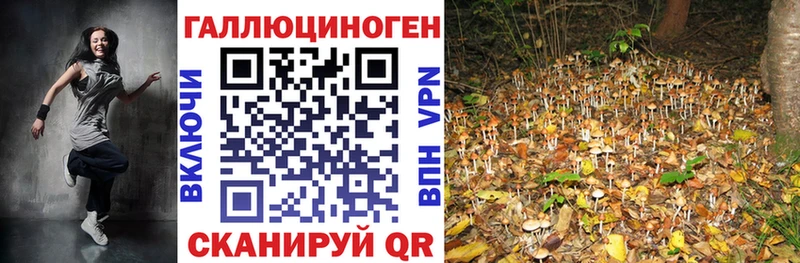 Галлюциногенные грибы Psilocybe  Руза 
