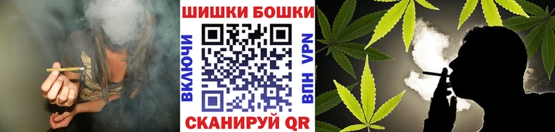 Канабис OG Kush  Руза 